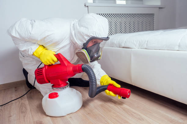 Best Pest Prevention Services  in Kotlik, AK